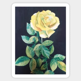 Yellow Rose watercolour painting Sticker